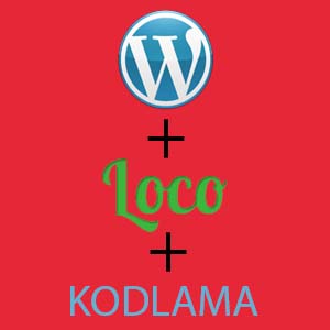 wordpress-ceviri-sorunu